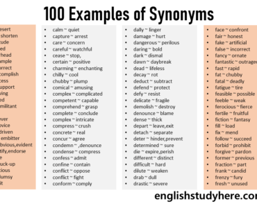 100 examples of synonyms with sentences